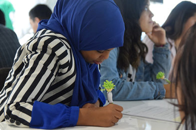 DSC_0142 small2 girl doing homework - small